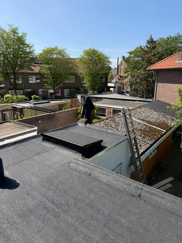 Plat dak in Breda, foto 2 van 2
